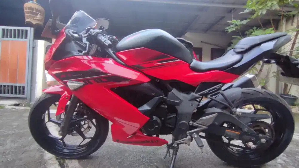 Kawasaki Ninja Mono SL