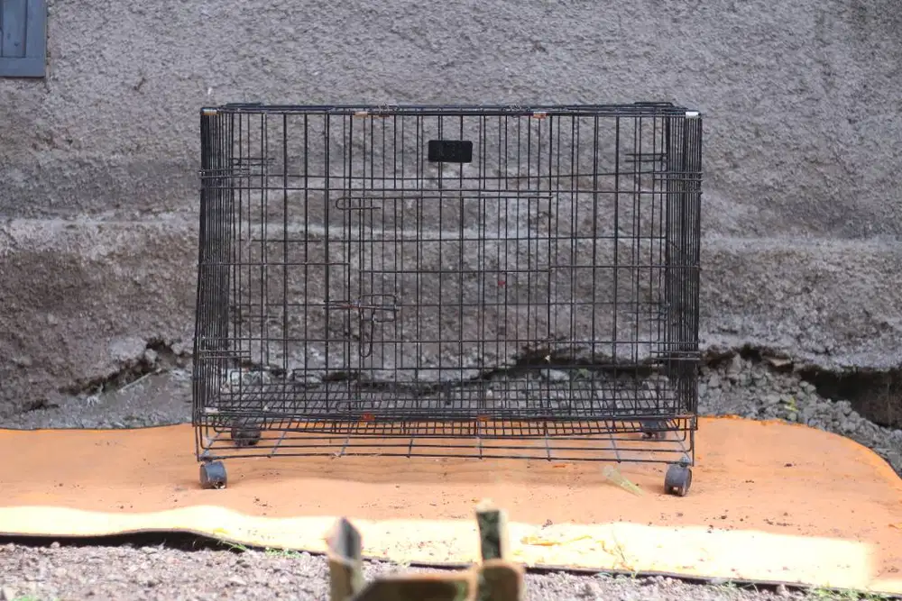 kandang kucing anjing Globe 90 x 60 x 70 Roda