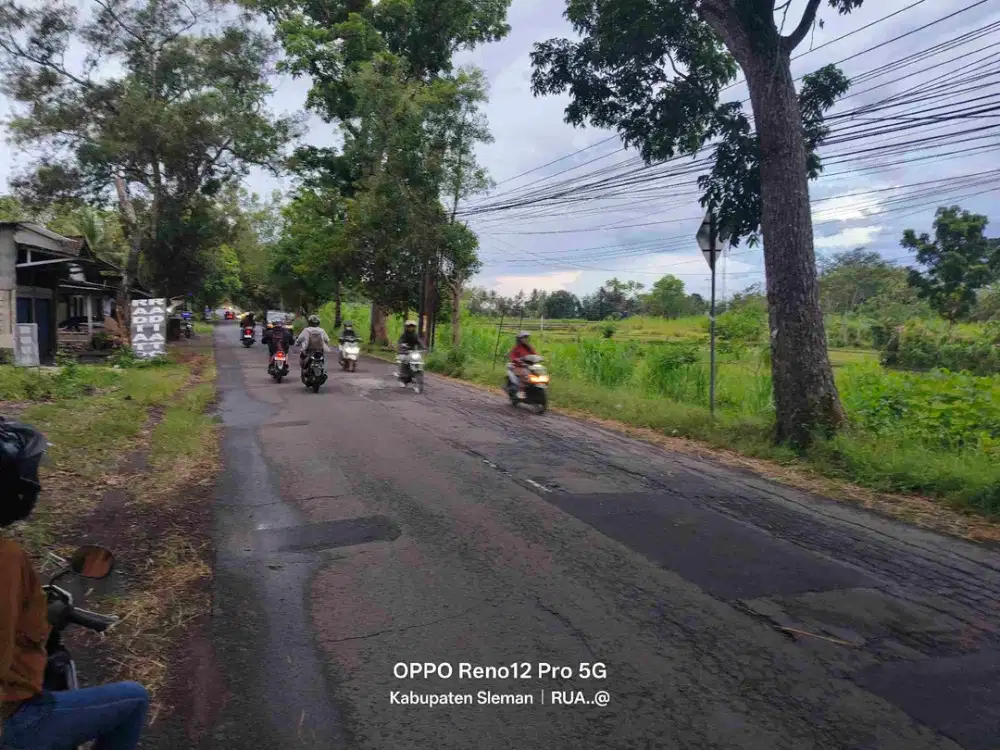 sawah sumberarum moyudan