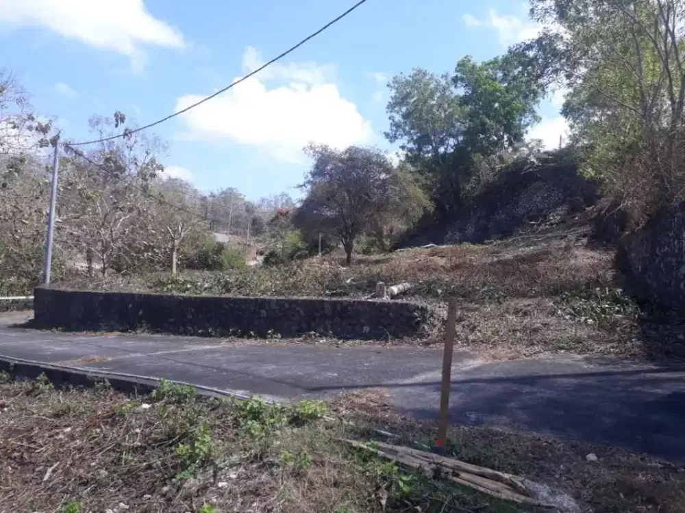 TANAH SUPER MURAH UNGASAN AREA VILLA BUC