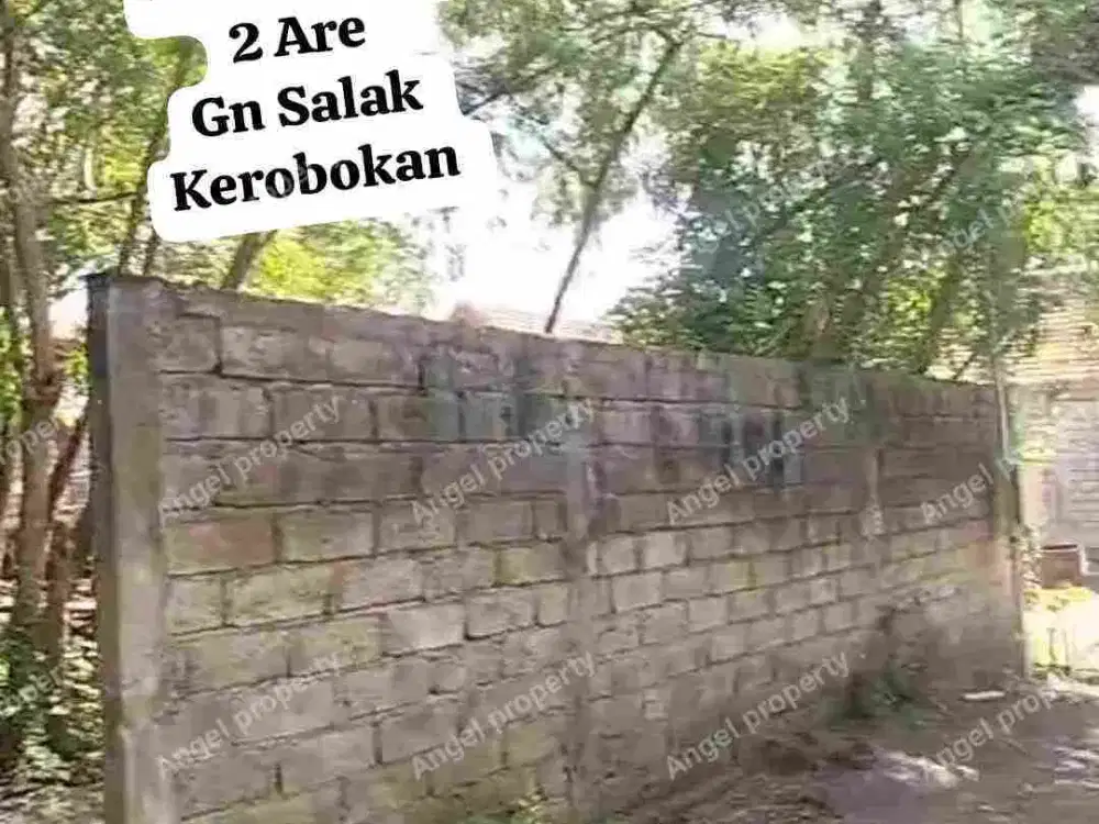 DIJUAL TANAH SIAP BANGUN GUNUG SALAK DENPASAR BARAT