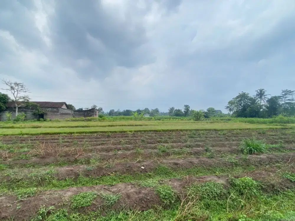 Tanah SHM Palagan Utara Masjid Suciati Sleman