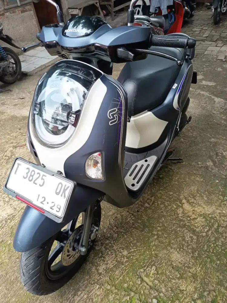 Scoopy new 2024