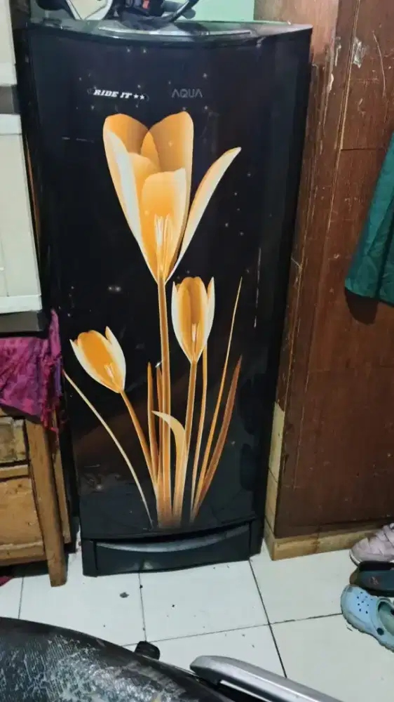 Kulkas Aqua 1 pintu