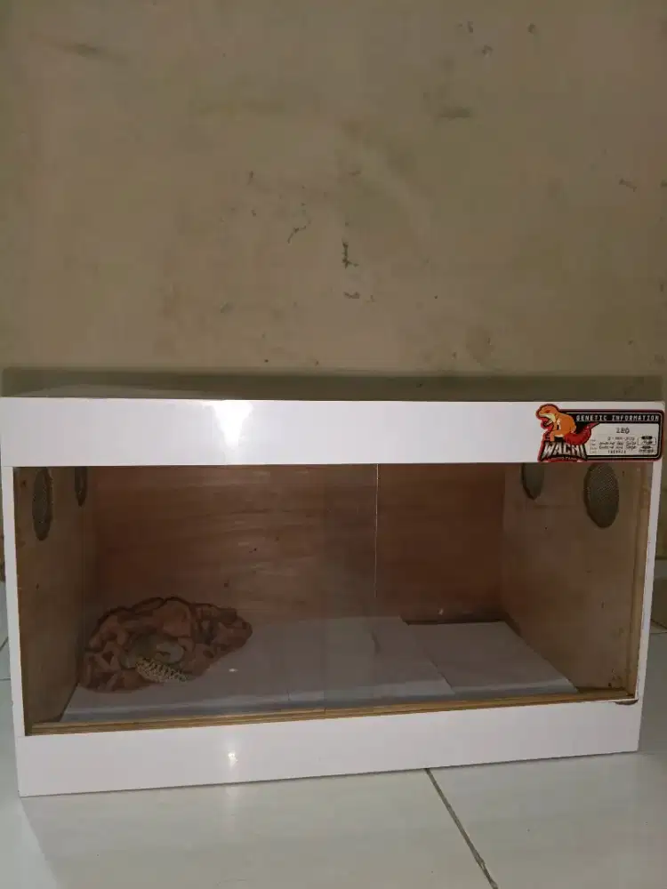 Kandang Reptil Kokoh