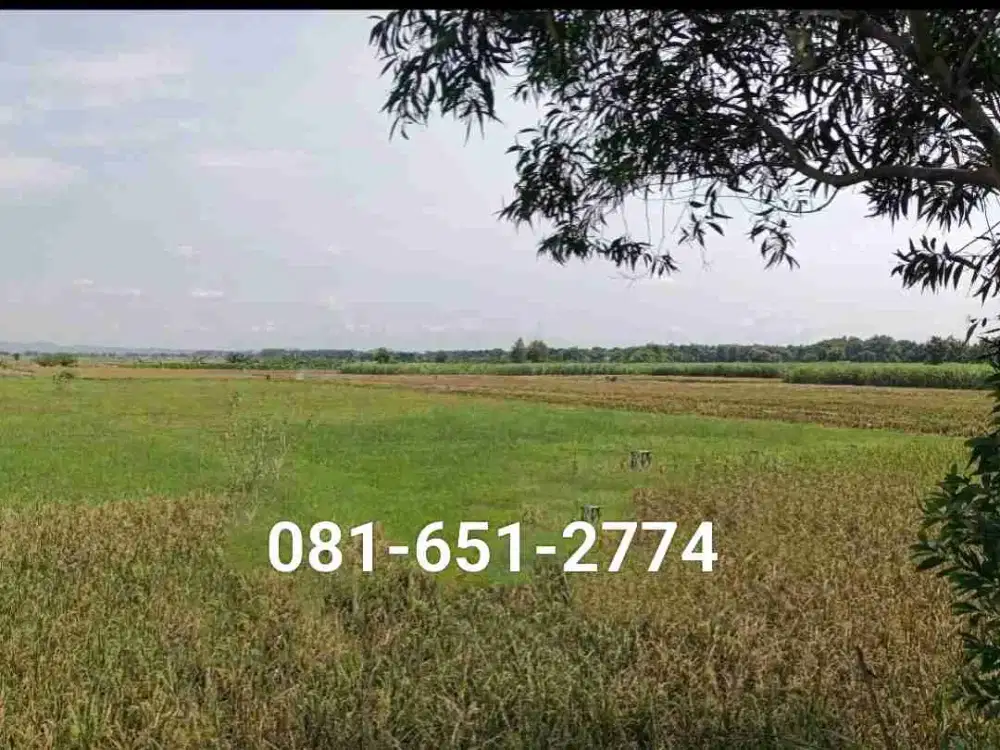 Tanah Industri di Nganjuk