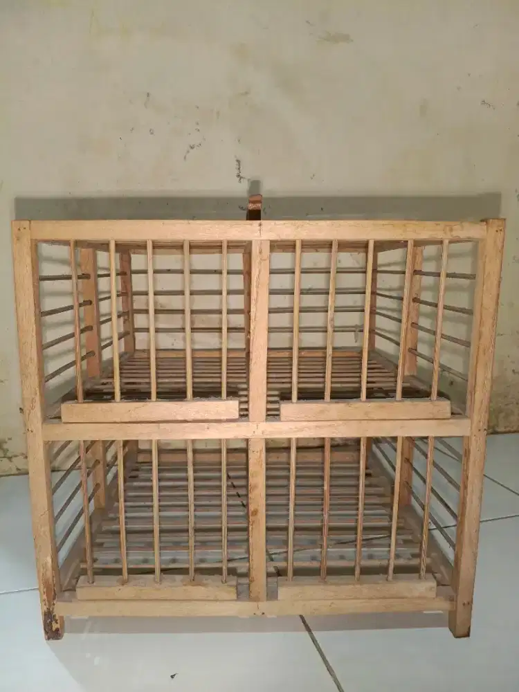 Kandang burung merpati dll