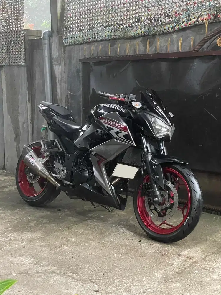 2018 Kawasaki Z250 ABS SE Last Edition