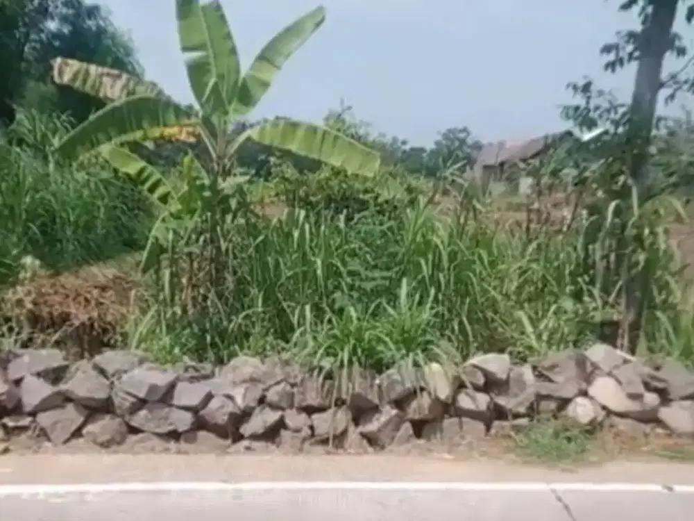 LAHAN SUPER STRATEGIS LUAS 3 HA ZONA KUNING –  KEDUNGJERUK, KARANGANYAR