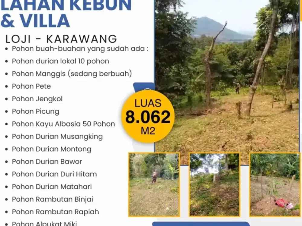 DIJUAL KEBUN BUAH DI LOJI KARAWANG