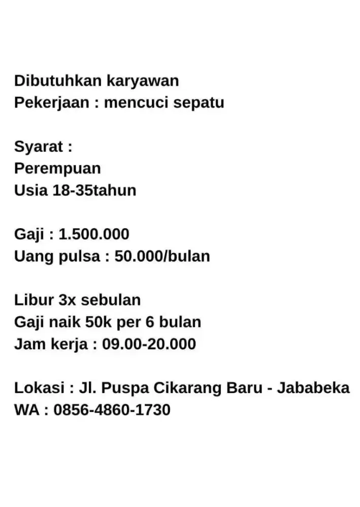 Lowongan kerja shoes care