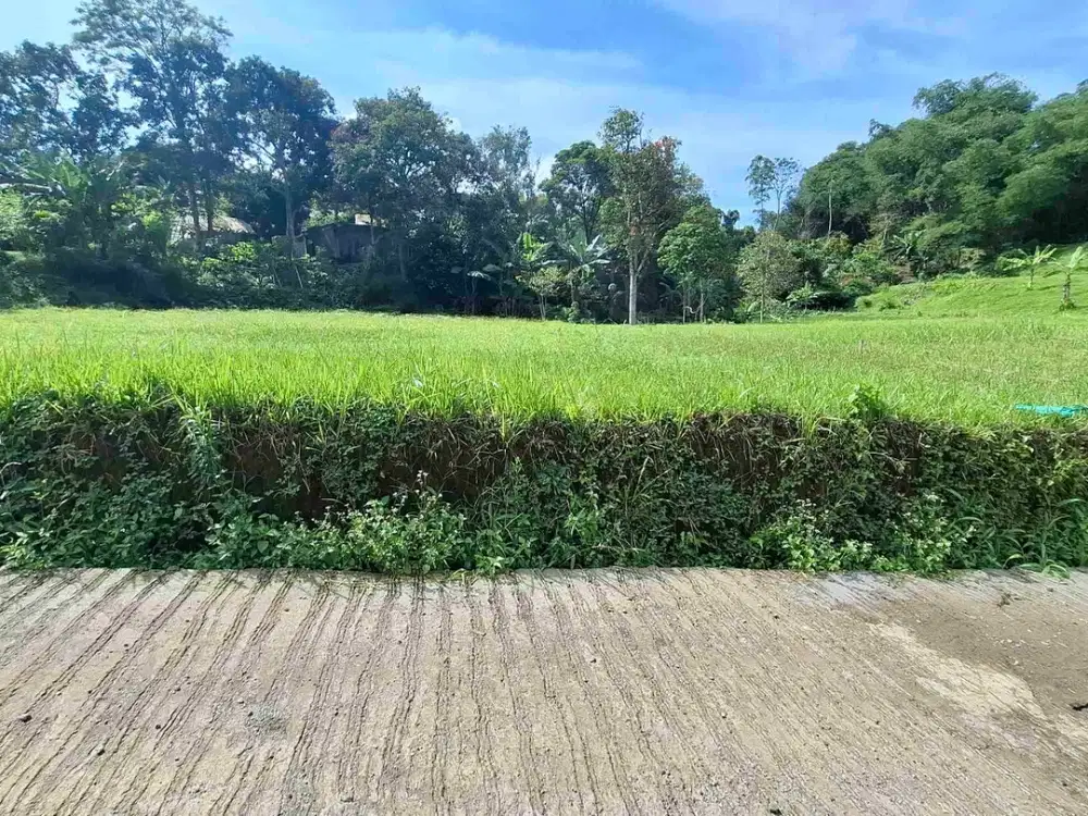 Jual Tanah Diatas Jalan Luas 540m2 Megamendung Puncak Bogor