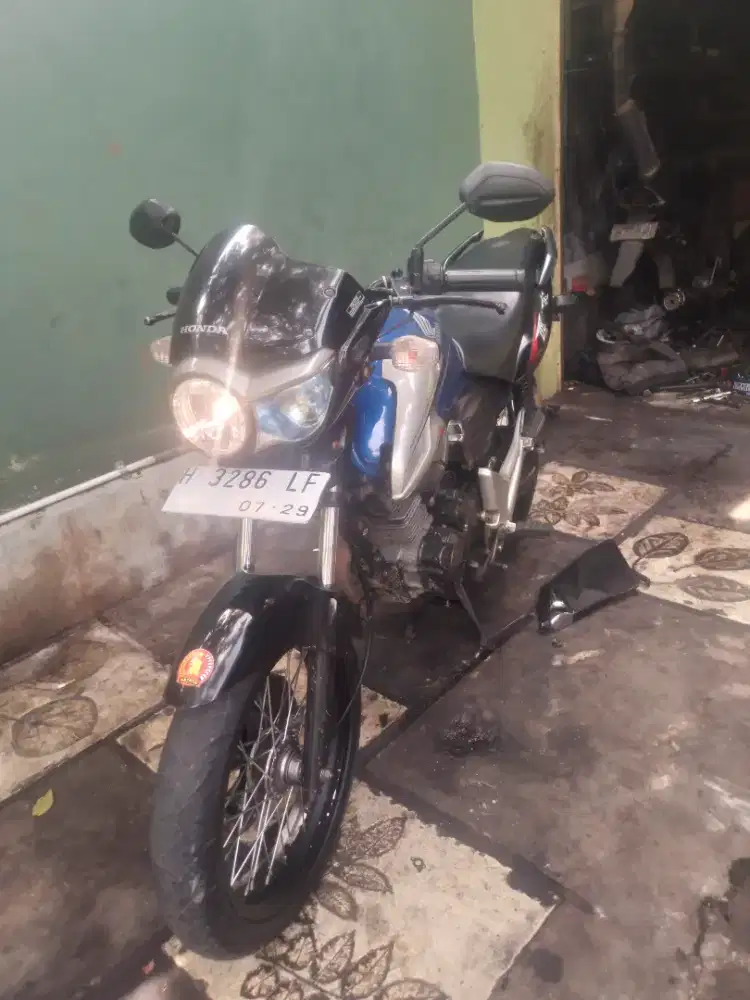 Bismillah jual tiger