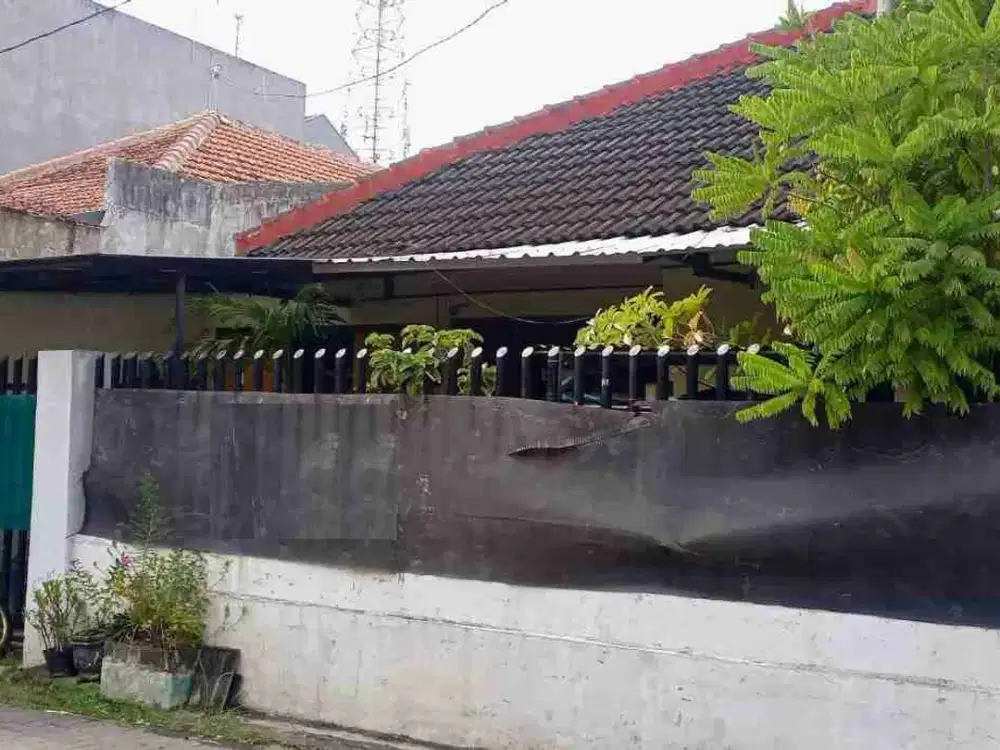Jual Rumah Tengah Kota Di Anggrek Semarang