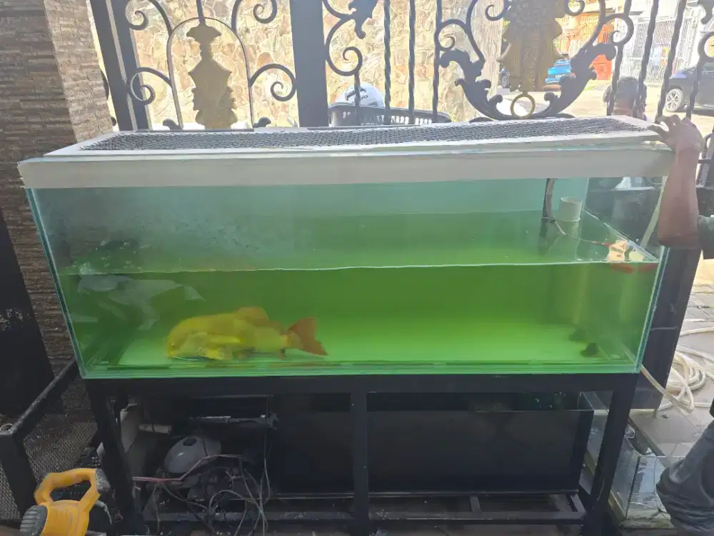 DI JUAL MURAH AQUARIUM 185 x 60 x 75