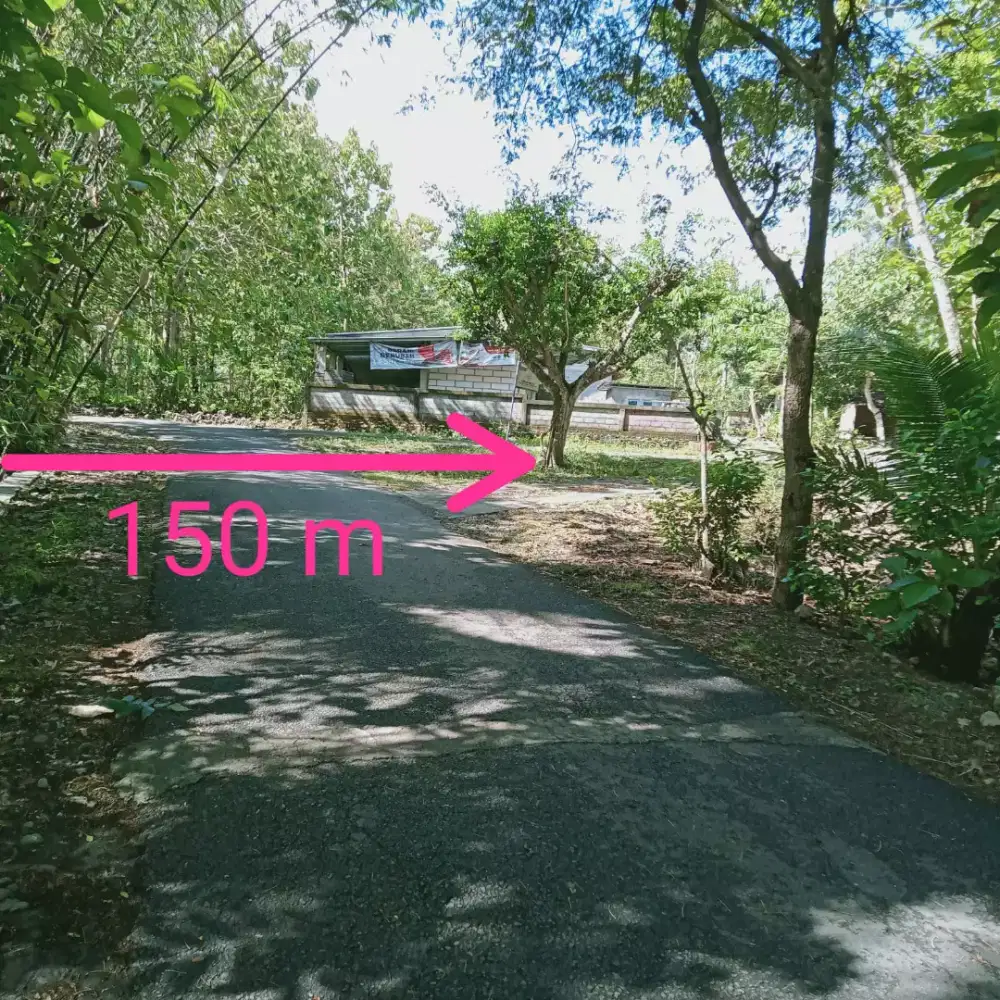 SHM pekarangan murah subur nyaman di kulonprogo Lendah