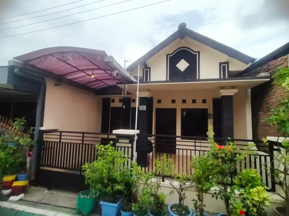 Rumah palur di kontrakkan/disewakan