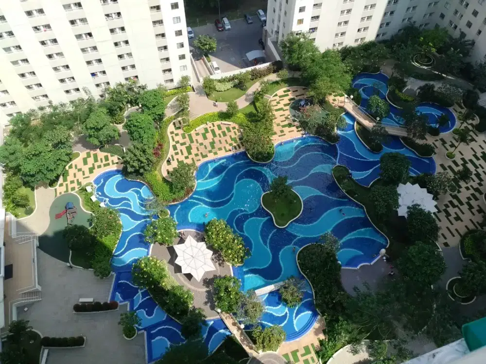 Educity Apartment studio type fully furnished for rent Pool View