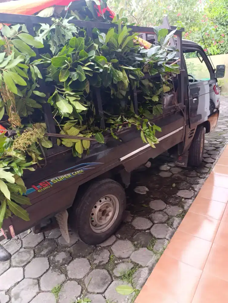 Jasa buang jasa tebang