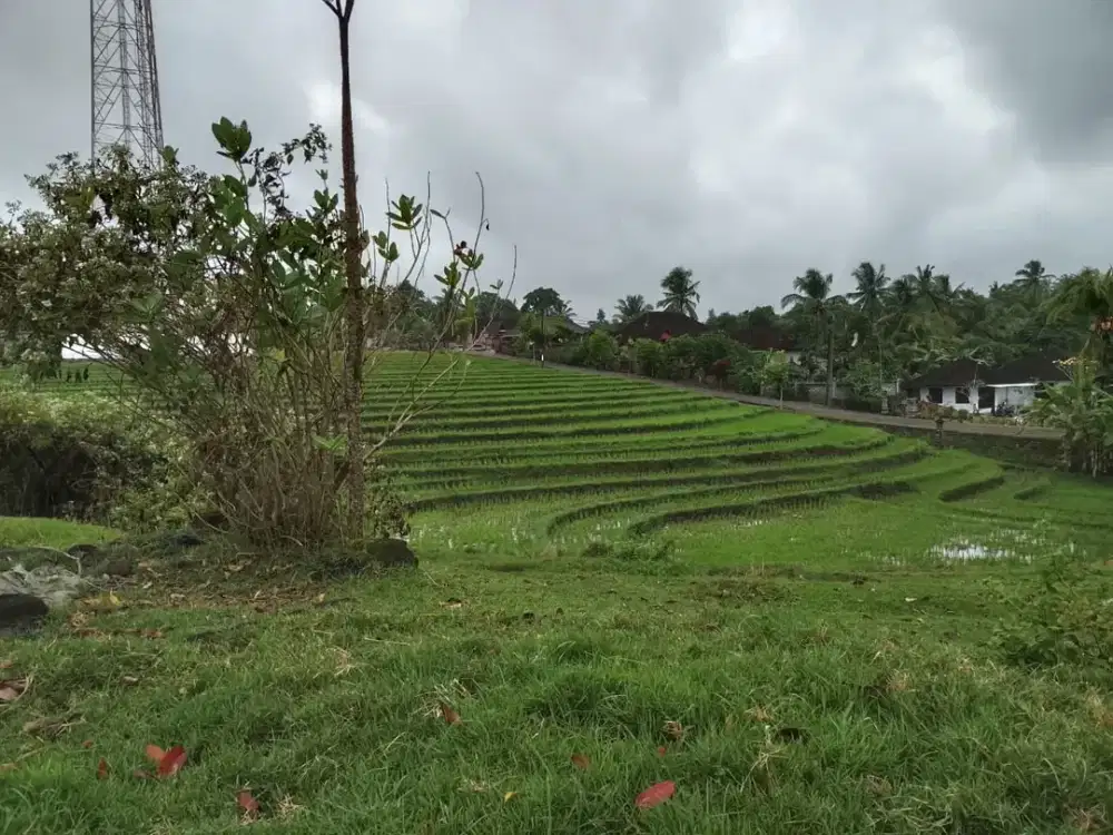 Dijual Tanah Di Tabanan Bali , Lokasi strategis