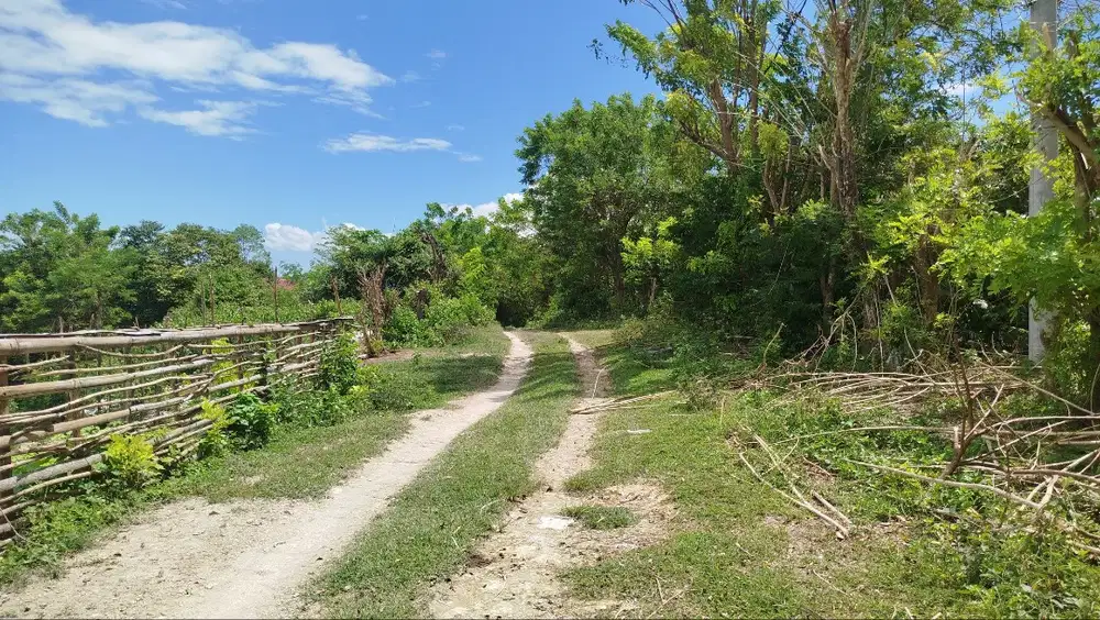 dijual cepat tanpa perantara, tanah lokasi mantul