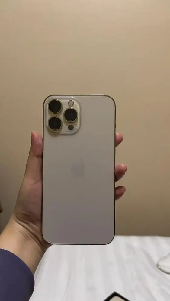 Iphone 13 Pro Max 256gb