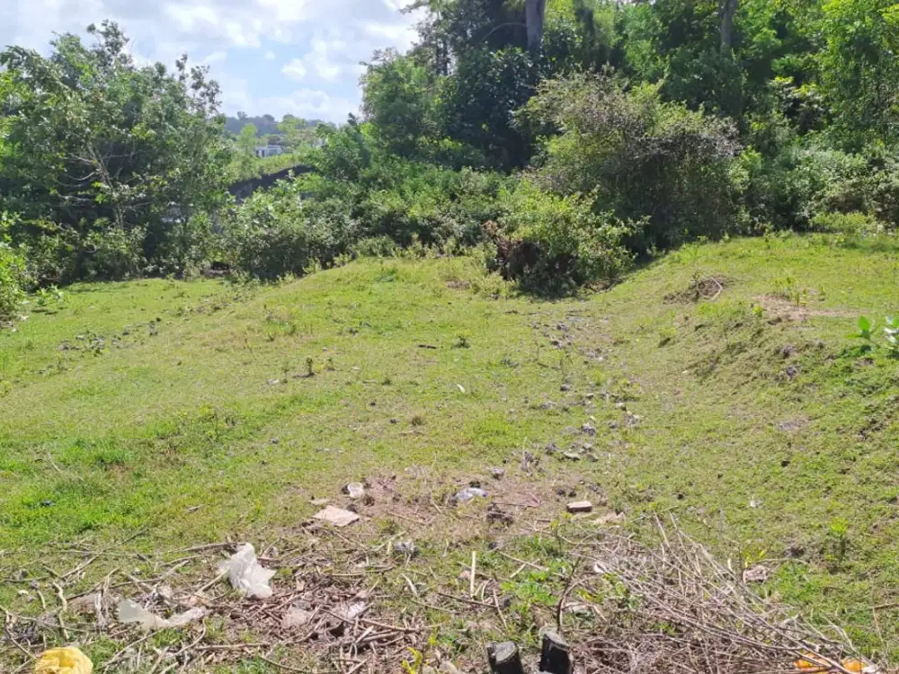 FOR SALE – TANAH PREMIUM ZONA PINK DI MELASTI, BALI SELATAN!