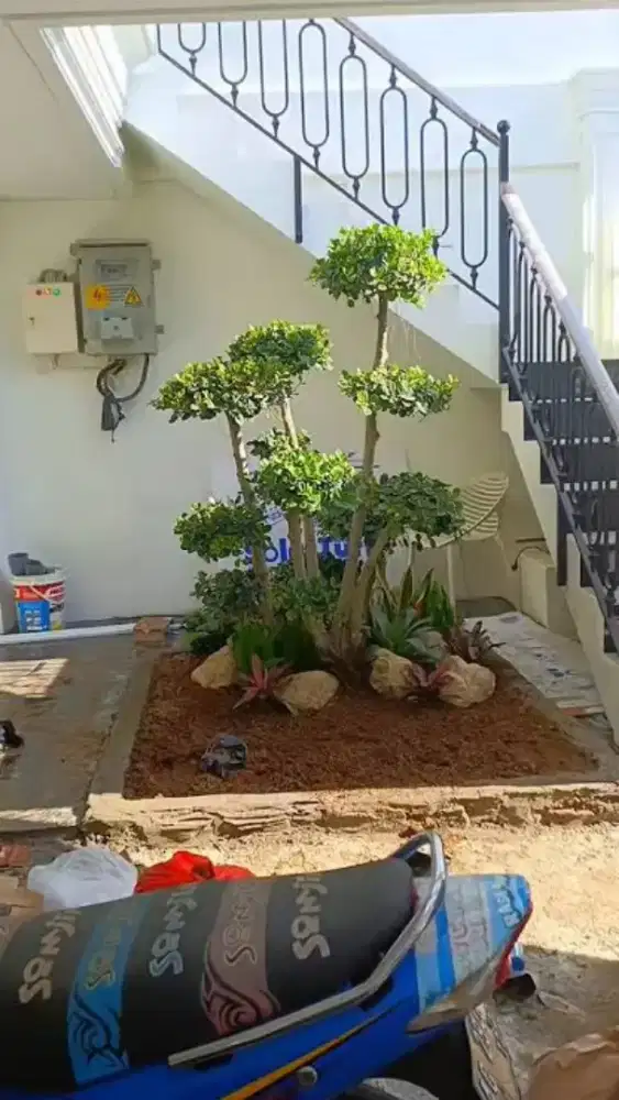 Tukang pasang taman minimalis