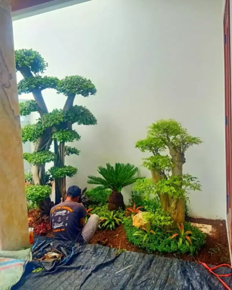 Tukang pasang taman minimalis murah