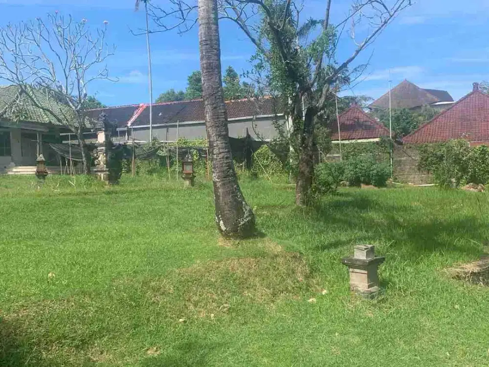 Tanah PREMIUM Jl Kuwum Kerobokan