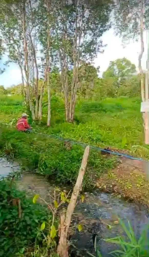 Tanah 15x30 surat notaris