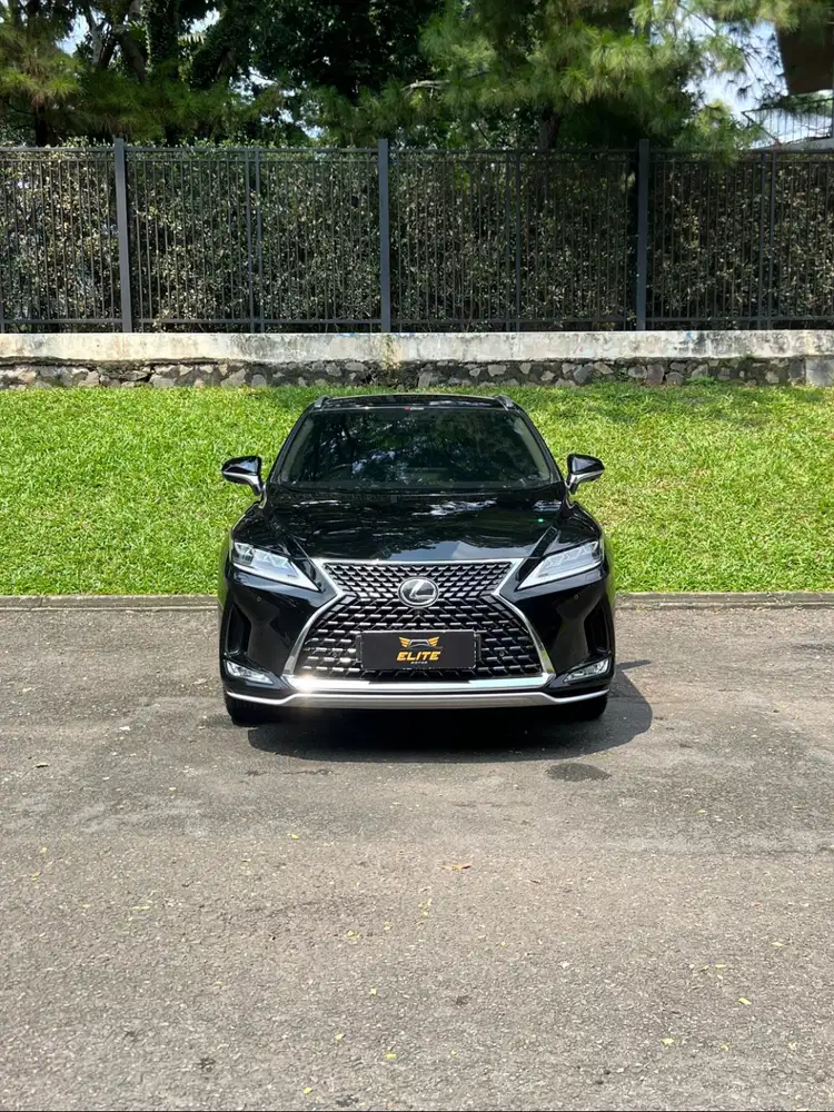 Lexus RX 300 Luxury 2019 Lexus RX 300 Service Record