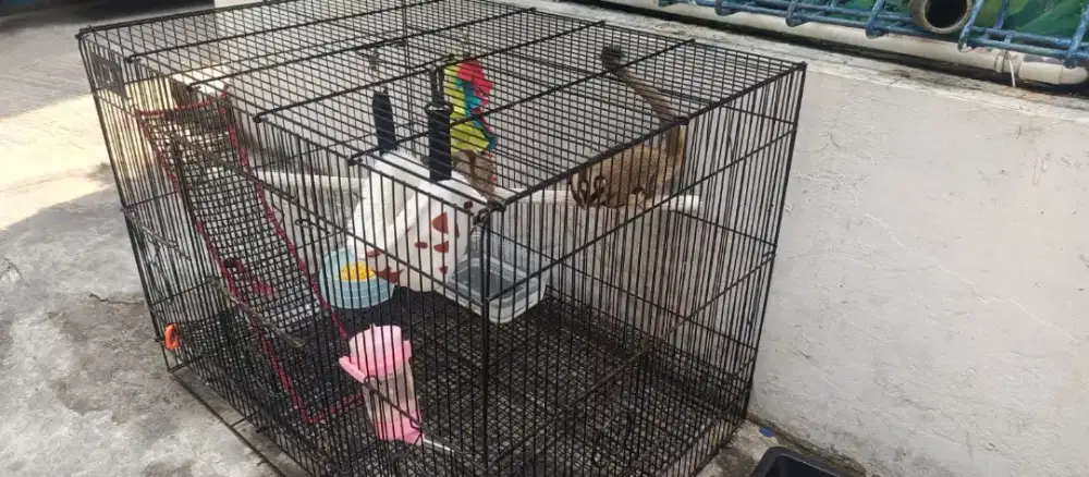 Suger glider 1 pasang