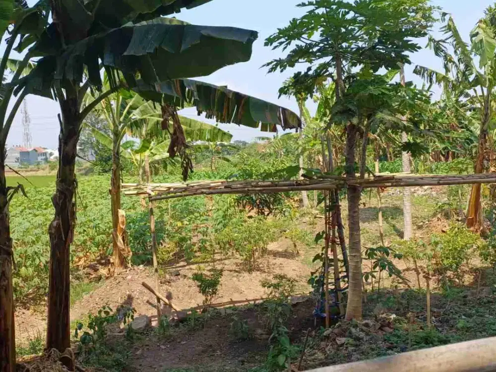 DIJUAL TANAH DI JALAN UTAMA SUKARNO HATTA, STRATEGIS SEKALI