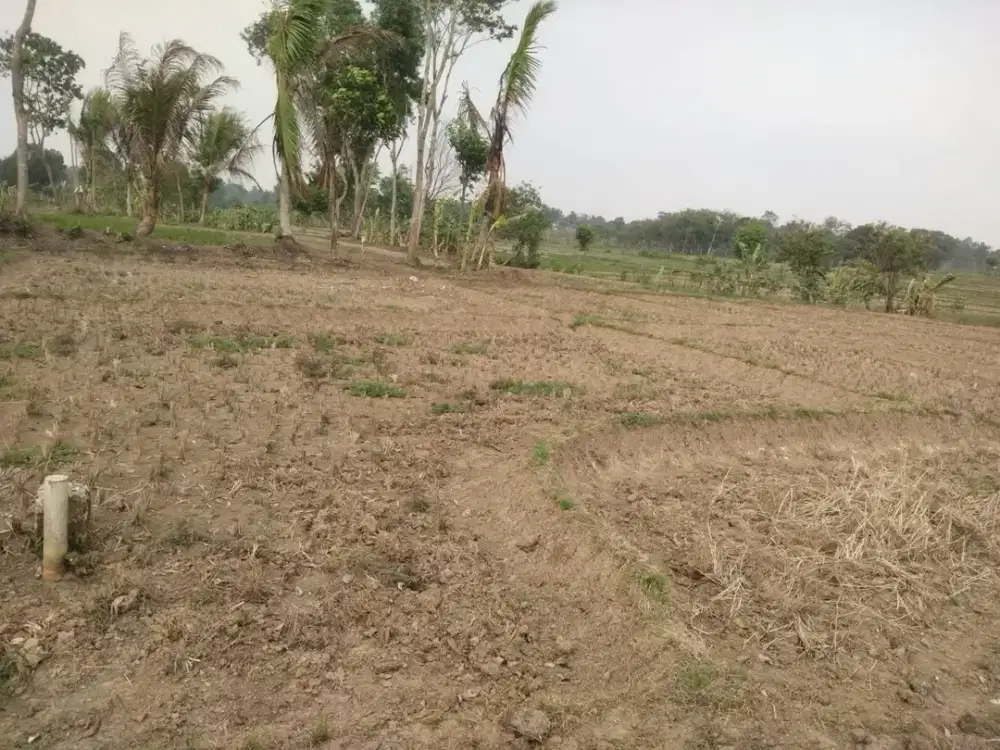 Dijual Murah Tanah Darat Lokasi Bagus di Cikupa Raya, Tangerang