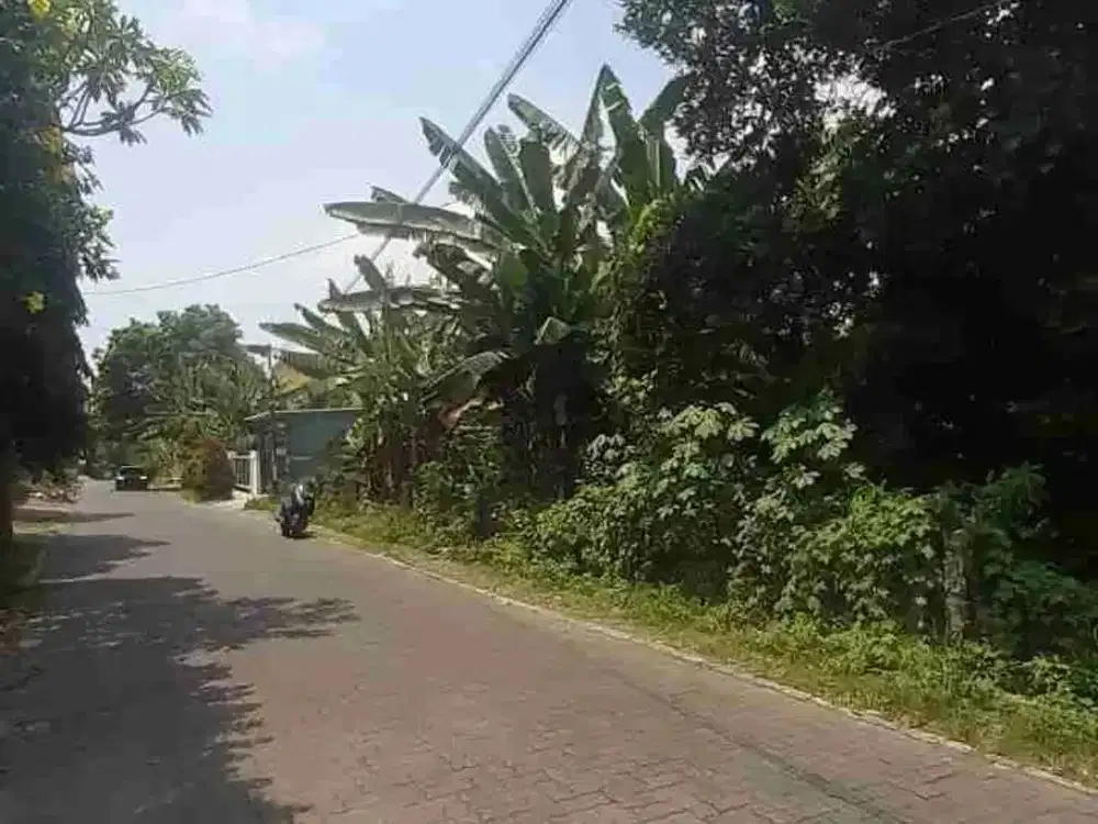 Tanah strategis 875m2 mulawarman DEKAT TEMBALANG