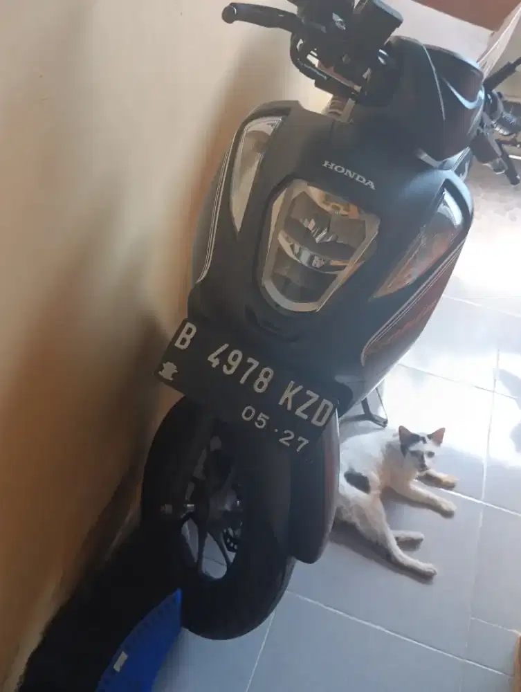 Honda Genio Tahun 2022