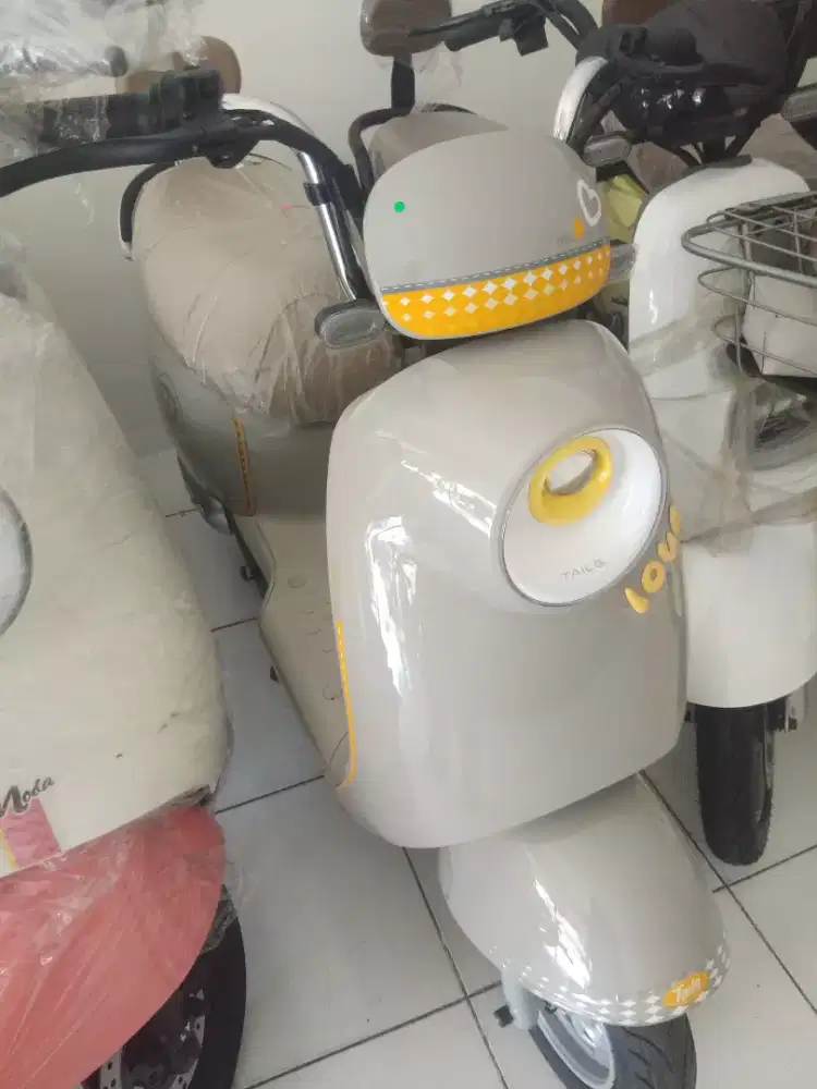 Sepeda listrik TAILG