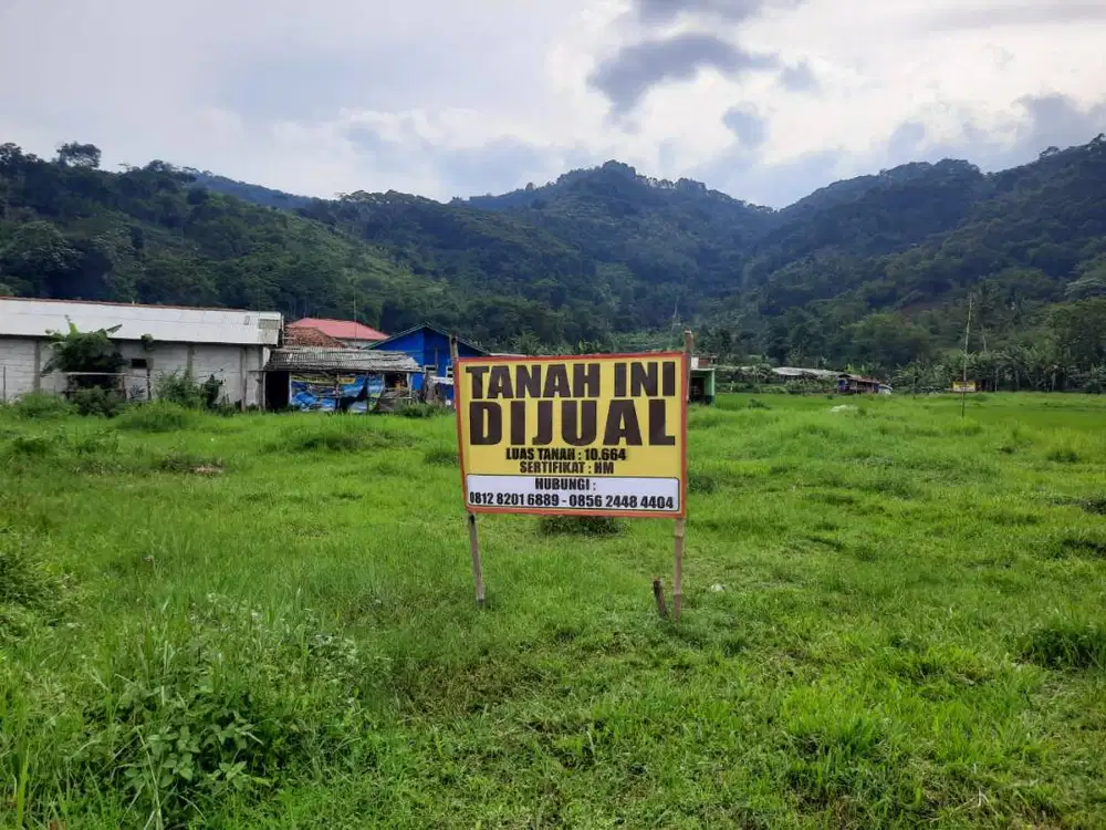 DIJUAL TANAH SAWAH DAN KEBUN CIPANAS DEKAT TAMAN BUNGA