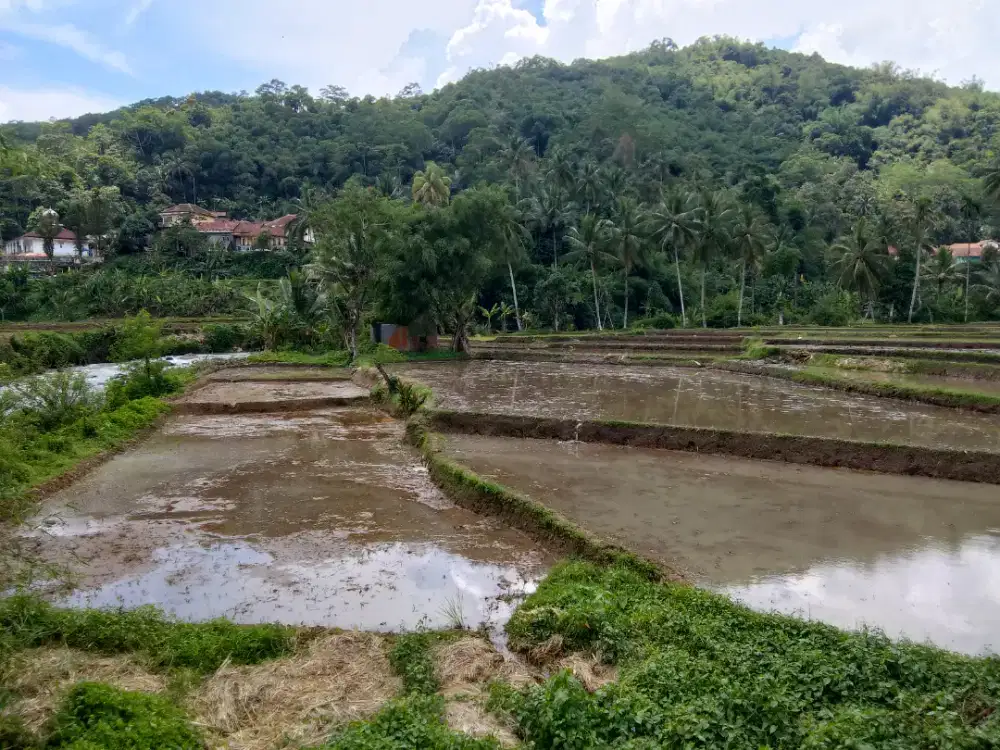 DIJUAL SECEPATNYA TANAH SAWAH