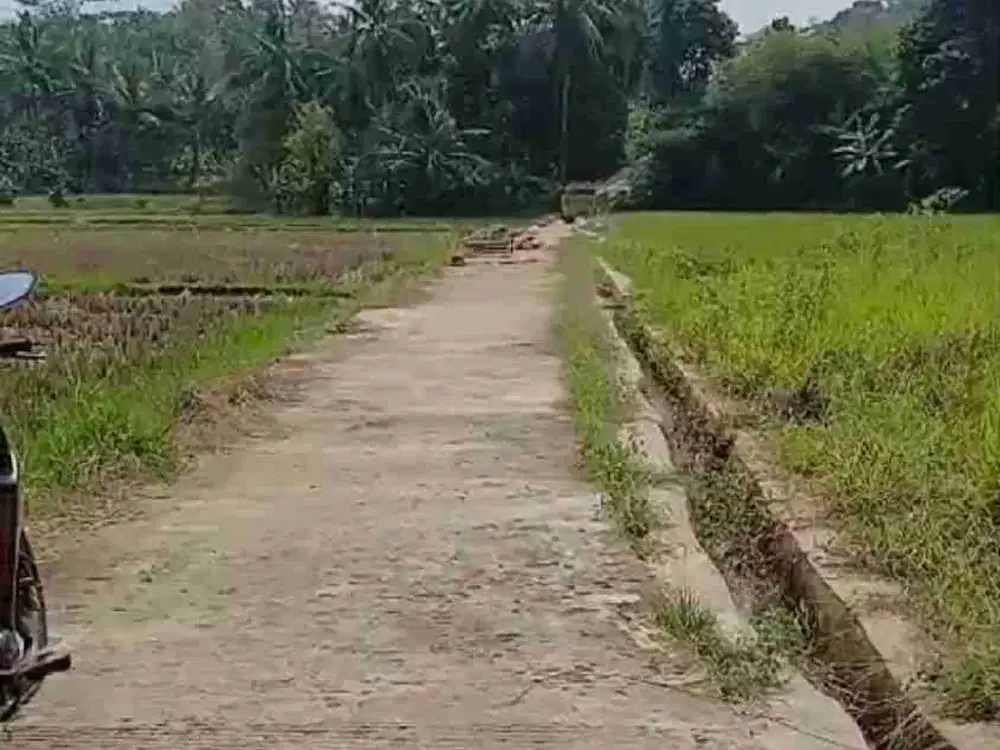 Dijual murah tanah sawah masuk mobil, 6000 m2, 170 rb/m2, SHM