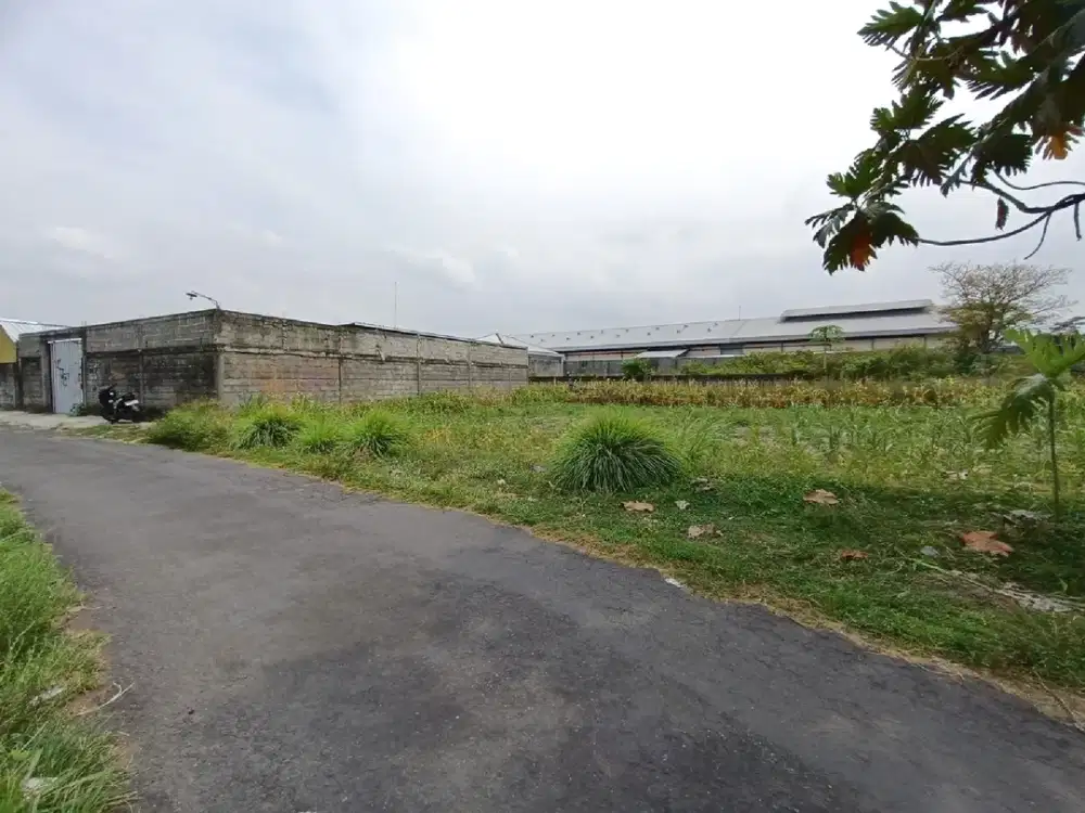 Legalitas SHM Tanah di Jl. Palagan Dekat Mataram City