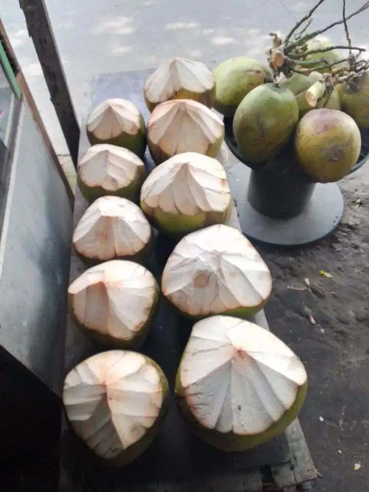 Jaga stand minuman es kelapa