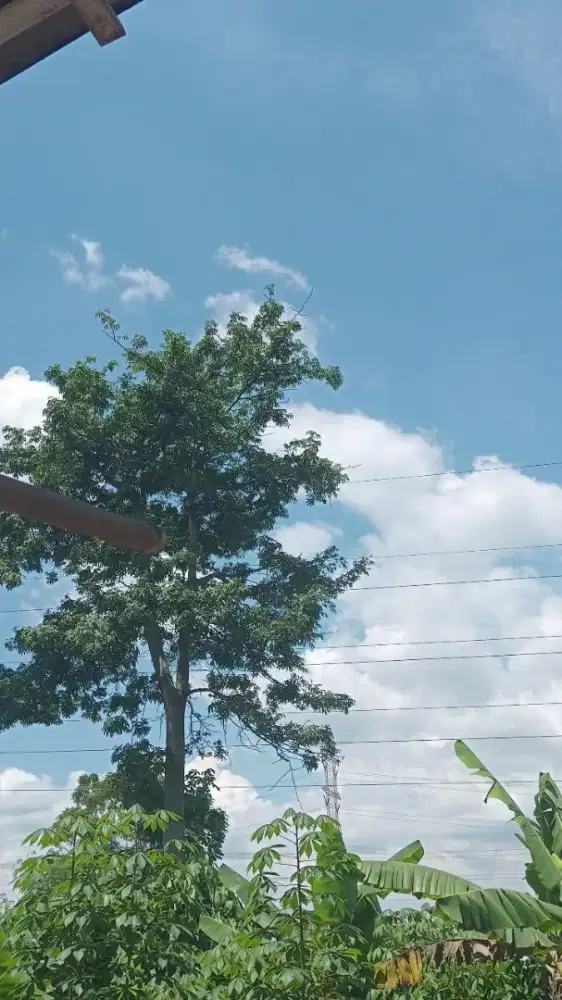 cari loker untuk wanita