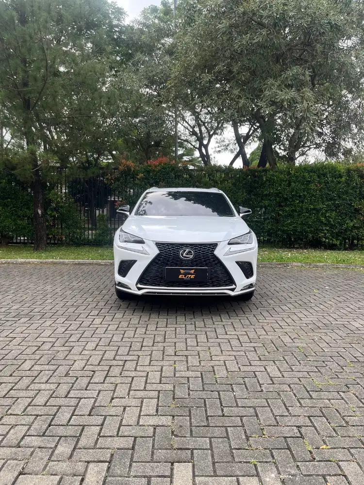 Lexus NX300 F-Sport 2018 Service Record NX 300