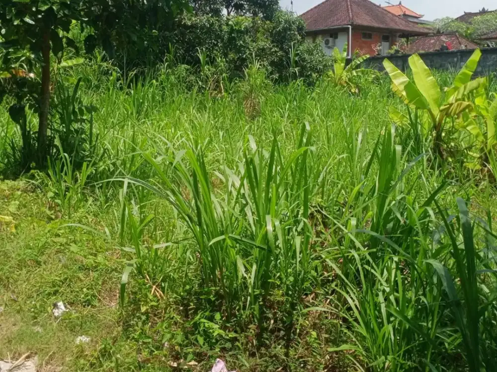 TANAH DIJUAL – PECATU LABUAN SAIT PADANG PADANG AREA, BALI
