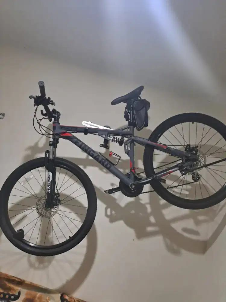 Sepeda MTB Fingard X 100d - Bekas