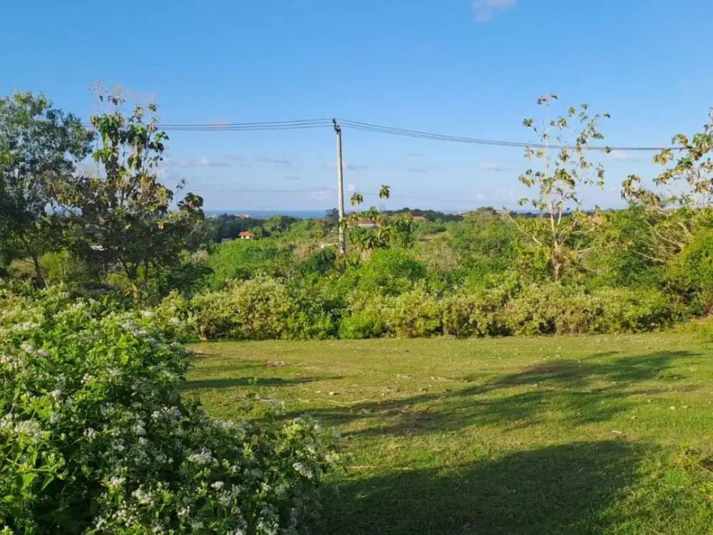 Dijual tanah lokasi ungasan luas 10 are Zona perumahan