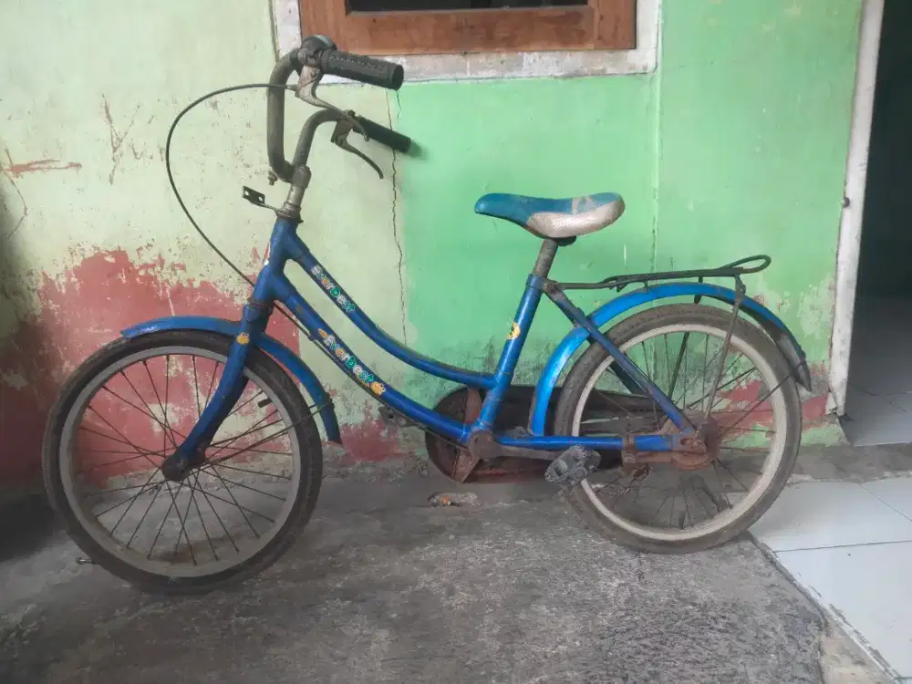 Sepeda anak perempuan usia 7-11 tahun