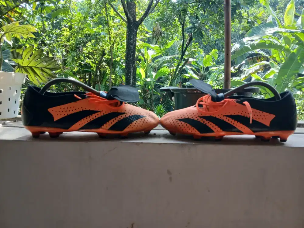 Adidas predator Acuracy